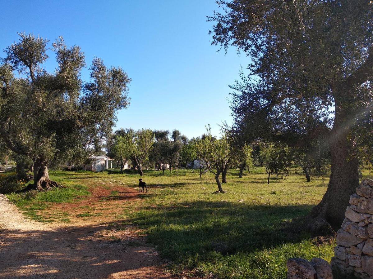 Piccolo Trullo Ostunese Le Jardin De Sophie' Ostuni Εξωτερικό φωτογραφία