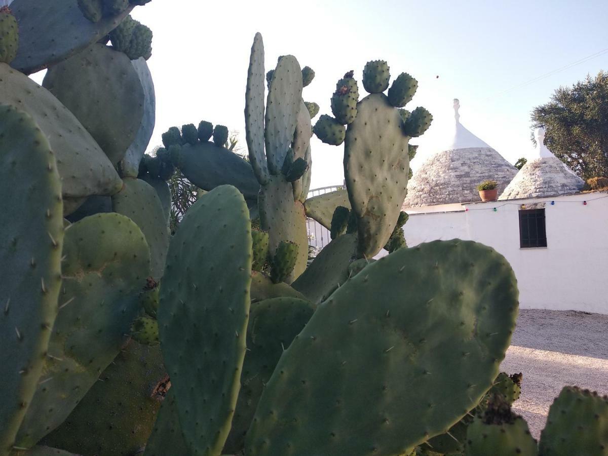 Piccolo Trullo Ostunese Le Jardin De Sophie' Ostuni Εξωτερικό φωτογραφία