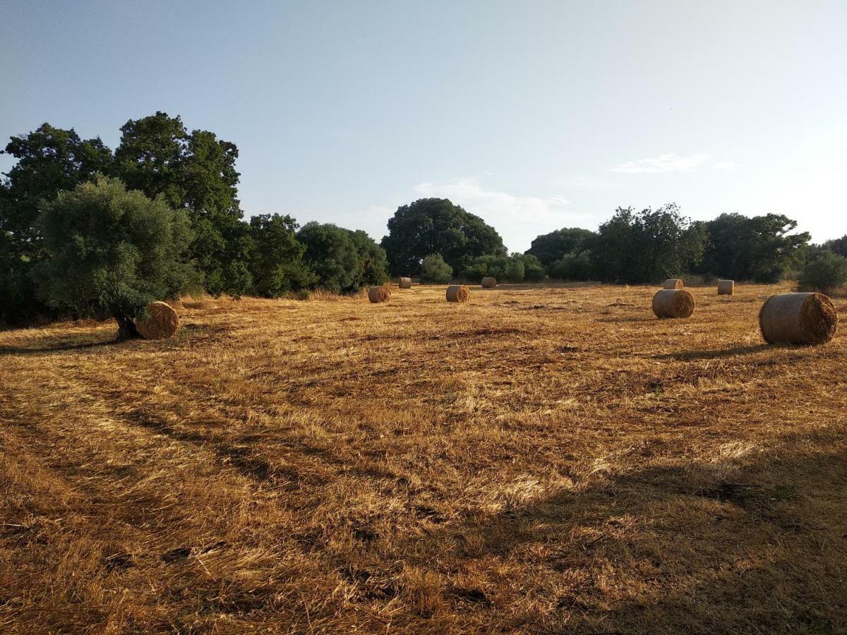 Piccolo Trullo Ostunese Le Jardin De Sophie' Ostuni Εξωτερικό φωτογραφία