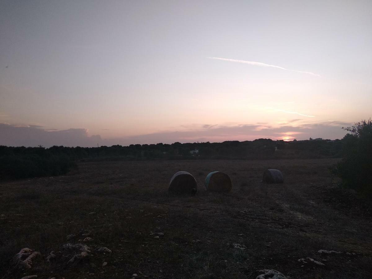 Piccolo Trullo Ostunese Le Jardin De Sophie' Ostuni Εξωτερικό φωτογραφία